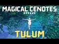 Cenotes around TULUM Cenotes Natural Pools in Mexico