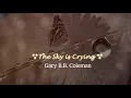 Gary B.B.  Coleman - The Sky is Crying Lyrics 🌈