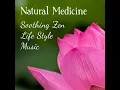 Chakra Meditation Balancing