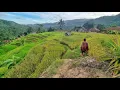 Download Lagu walk in a quiet and beautiful village on top of the mountain, very cool, Indonesian rural atmosphere
