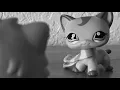 Download Lagu LPS: Meredith's Life Story (Part 3)