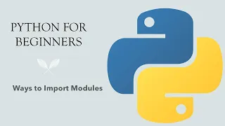 Python for Beginners Ways to Import Modules in Python