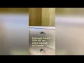 Vídeo do produto
