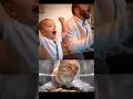 Download Lagu bro the kid😂#cat #funny #explore #memes #bombastic #viral #shorts