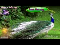 Download Lagu Ho Munda Songs​ HD||Jhipir Jhipir Shraban riyah Gamare