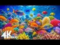 Lagu Aquarium 4k VIDEO (ULTRA HD)  - Captivating Moments with Beautiful Coral Reef Fish - Relaxing music