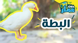 حكايا عم ار الحلقة الأولى البطة 
