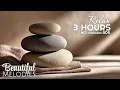 Relax Zen Spa Asian Relax Spa Lets Relax Spa Thai Relax Spa Wellness Relax Spa