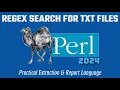 Perl Programming Regex Text File Search Project 2024