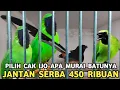 Lagu JUAL APA ADANYA || MURAI BATU CUCAK IJO KELAMIN JANTAN DARI 450 RIBUAN DI PASAR PRAMUKA 