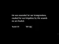 Son of suffering - Good Friday