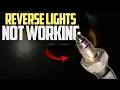 5 Reasons Your Reverse Lights Not Working How to Fix