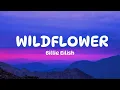 Download Lagu Billie Eilish - WILDFLOWER (Lyrics)