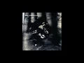 Silent Poets - Subspecies