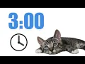 3 Minute Timer Irresistible Cat Clips