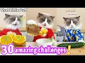 Download Lagu Meow Chef: 30 amazing challenges! | That Little Puff