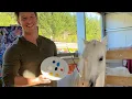 Ep 28 Horsing Around