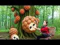 Download Lagu Harvesting Rare Wild Custard Apples in the forest to sell, Jungle survival skills - Jungle life
