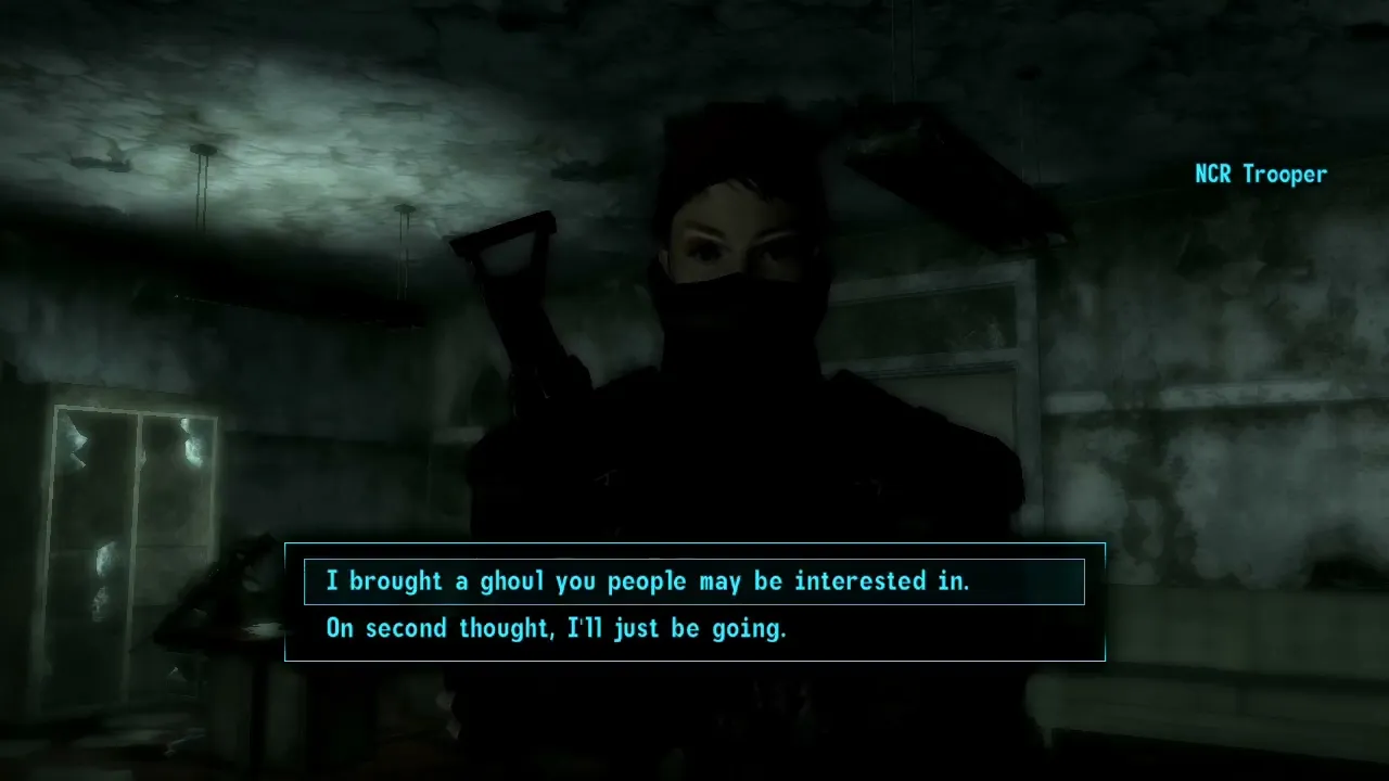 NCR Trooper - Deathblow - A Fallout: New Vegas Companion Mod