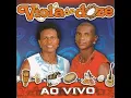Viola de Doze
