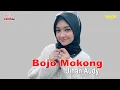 Download Lagu Jihan Audy - Bojo Mokong (Official Video)
