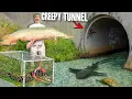 Download Lagu 24 HOUR Tunnel Fish Trap Catches CANAL MONSTER...