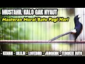 Lagu MASTERAN MURAI BATU GACOR SANGAT AMPUH MEMANCING MURAI BATU DIAM LANGSUNG BONGKAR ISIAN MEWAH