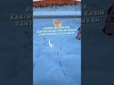 Ada Jejak Kaki Rusa #shorts #snow #salju #dailyvlog