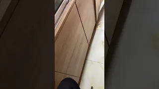 Https Mega Nz File QlVTUAzA IkpBJeEX86rvKC ENRLlfQcaUH0i0aAOpSA EX9PYGU Link 