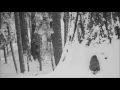 Wildfire - Michael Martin Murphey {HD}