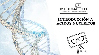 ÁCIDOS NUCLEICOS 1: Estructura del nucleótido e introducción al ADN y ARN