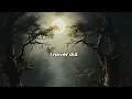 2Pac - Everyday Struggle (Lyrics Video)