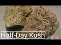 Half-Day Kush Product Review Trulieve Product