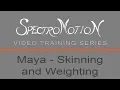 Maya 2018 - Skinning and weighting an object with joints