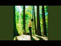 Download Lagu Carelessly Dreaming