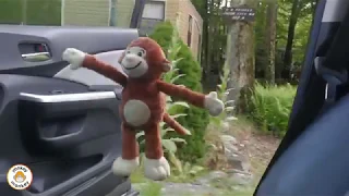 yonkey monkey