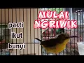 Download Lagu SOGON IJOAN NGRIWIK |pancingan sogon bahan agar cepat bunyi #pancingansogon #sogokontong #sogonijoan