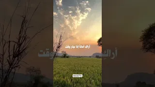 رفيقة غيم وزهر ولطف حبيبة قلب ونفس وروح اكسبلور دويتو اشتراك لايك العلم 