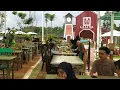 Lagu Andai Kau Datang, Cafe La Li Sa Farmers  Village Jogjakarta