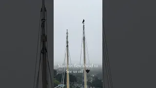 He wants us to stay ! #fyp #dream #sailing #pets #wildlife