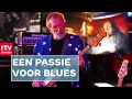 Electric Blues, een ode aan Cuby + Blizzards | Djammen | RTV Drenthe