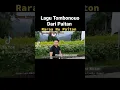 Download Lagu Jom Berhibur Lagu2 Sungai Tombonouo Dari Paitan.