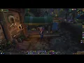 WoW BFA - Leatherworking Trainer Alliance
