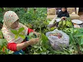 Download Lagu Gagal Nasi Bakar nya Guys Yaudah Yang Ada Aja