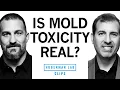 Mold Toxicity Signs Symptoms Treatment Dr Roger Seheult Dr Andrew Huberman