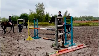                     دندنها
