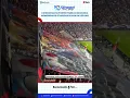 Download Lagu Gema Nyanyian dan Teriakan Suporter Timnas Indonesia Kalahkan Jepang, Betangkan Tifo Bermakna Khusus