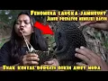 Download Lagu PENOMENA LANGKA BERBURU DAN MEMASAK JAMHEUN