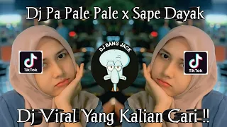 dj pa pale pale x sape dayak kane viral tik tok terbaru 2023 yang kalian cari 