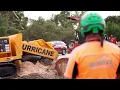 Tree Works In Mornington Peninsula